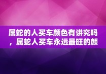 属蛇的人买车颜色有讲究吗，属蛇人买车永远最旺的颜色