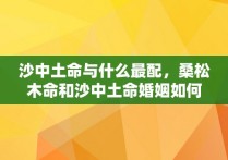 沙中土命与什么最配，桑松木命和沙中土命婚姻如何