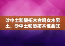 沙中土和桑拓木合吗女木男土，沙中土和桑拓木谁会吃亏