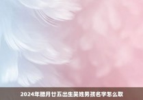 2024年腊月廿五出生吴姓男孩名字怎么取