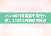 2023年的兔是属于是什么命，2023年真的属木兔吗吉利吗