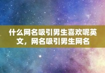 什么网名吸引男生喜欢呢英文，网名吸引男生网名