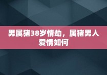 男属猪38岁情劫，属猪男人爱情如何