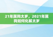 21年属狗太岁，2021年属狗如何化解太岁