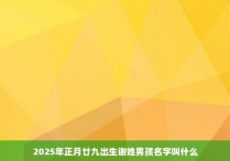 2025年正月廿九出生谢姓男孩名字叫什么