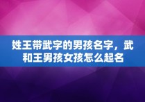 姓王带武字的男孩名字，武和王男孩女孩怎么起名