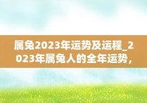 属兔2023年运势及运程_2023年属兔人的全年运势，属兔人在2023年的全年运势