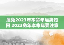 属兔2023年本命年运势如何 2023兔年本命年要注意什么