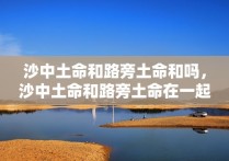 沙中土命和路旁土命和吗，沙中土命和路旁土命在一起怎么样?