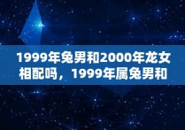 1999年兔男和2000年龙女相配吗，1999年属兔男和2000年属龙女相配吗