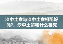 沙中土命与沙中土命相配好吗?，沙中土命和什么相克