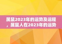 属鼠2023年的运势及运程，属鼠人在2023年的运势如何