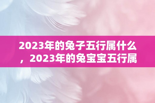 2023年的兔子五行属什么，2023年的兔宝宝五行属什么命