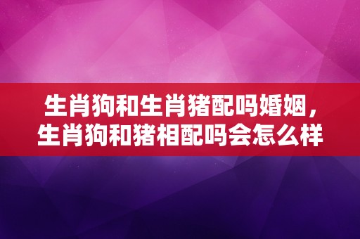 生肖狗和生肖猪配吗婚姻，生肖狗和猪相配吗会怎么样