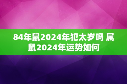 84年鼠2024年犯太岁吗 属鼠2024年运势如何